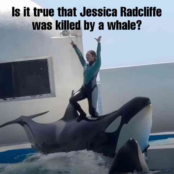 Jessica Radcliffe, Pelatih Lumba-lumba yang Ditelan Orca: Kisah Hoaks yang Menyesatkan